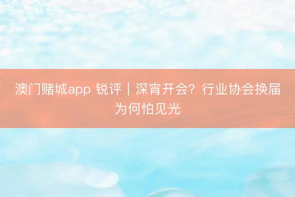 澳门赌城app 锐评|深宵开会?行业协会换届为何怕见光