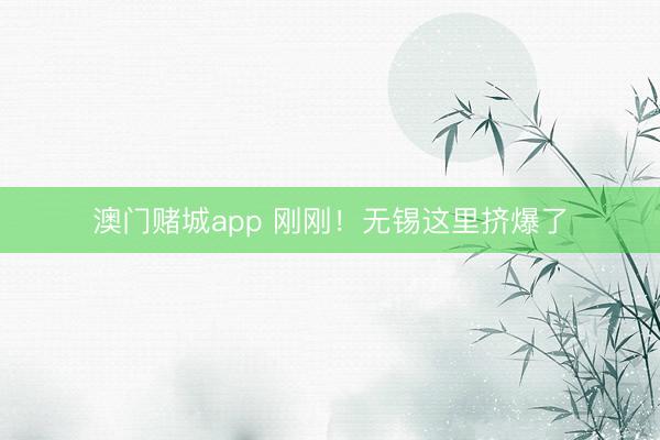 澳门赌城app 刚刚!无锡这里挤爆了