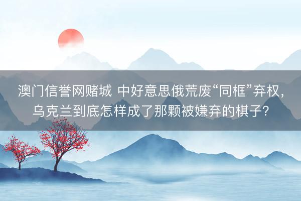 澳门信誉网赌城 中好意思俄荒废“同框”弃权,乌克兰到底怎样成了那颗被嫌弃的棋子?